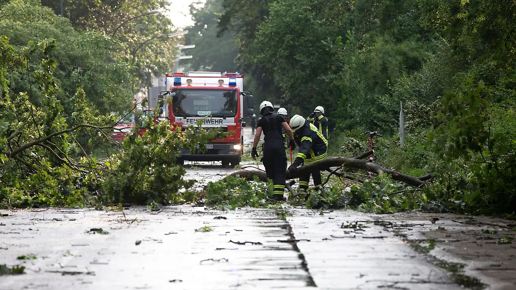 Einsatzkraefte-der-Feuerwehr-raeumen-einen-entwurzelten-Baum-von-einer-Strasse