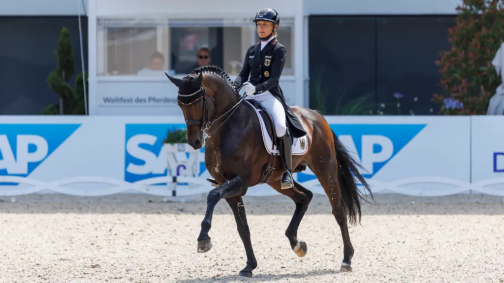 c0e82475bcd4071396a9280a2ba6828a