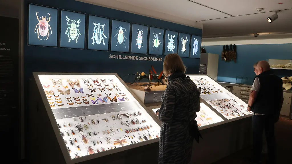 Besucher-stehen-in-einem-Ausstellungsraum-im-Naturkundemuseum