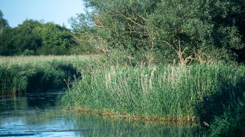 Blick-auf-den-Ryckgraben-in-Wackerow-im-Landkreis-Vorpommern-Greifswald