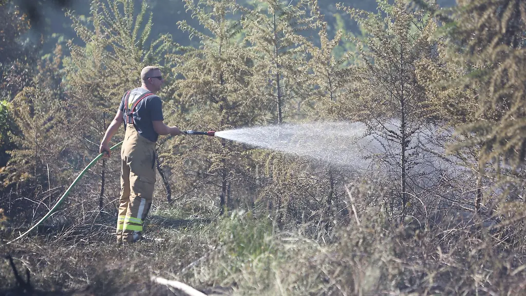 Einsatzkraefte-der-Feuerwehr-loeschen-einen-Waldbrand-im-Oberharz