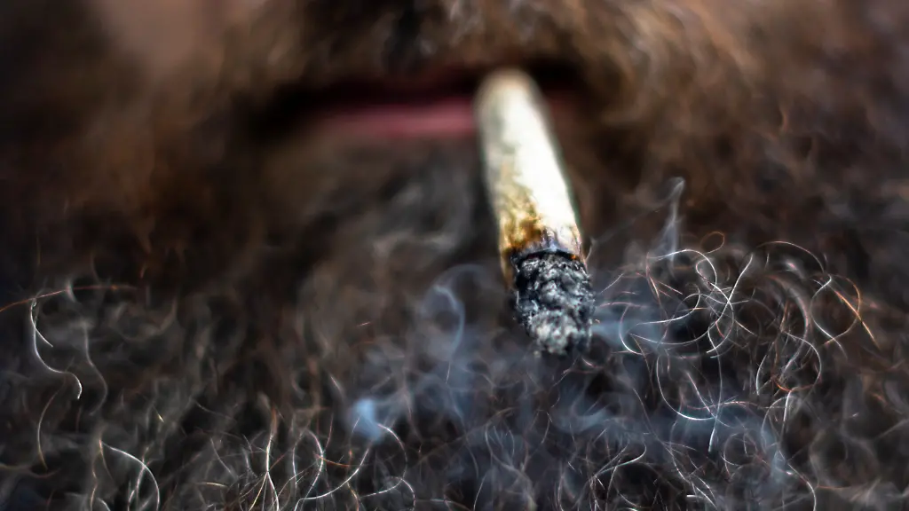 5d958fe28e5779f6d0713d28168ea6a9