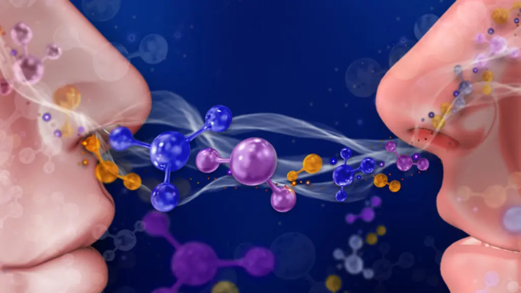 ACHTUNG-Frei-nur-im-Zusammenhang-mit-der-Berichterstattung-ueber-die-Studie