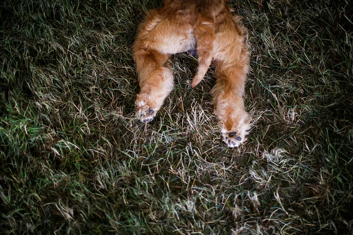 a35be7fb0a610e07a3ca5bdf56c12d33