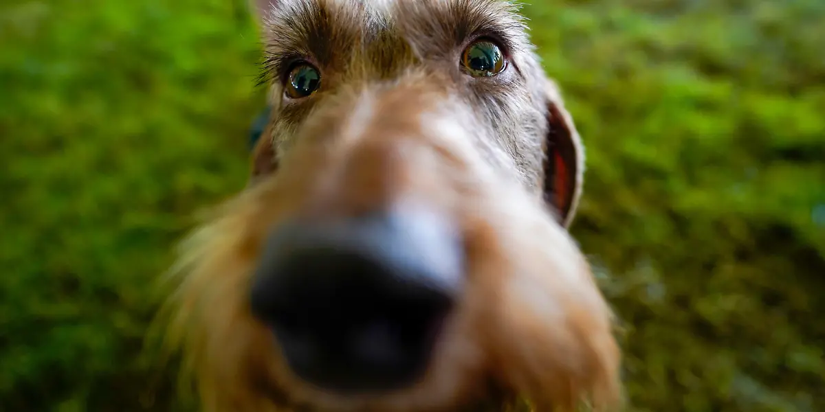 0a93c32142e35955bc71e755cca6db17