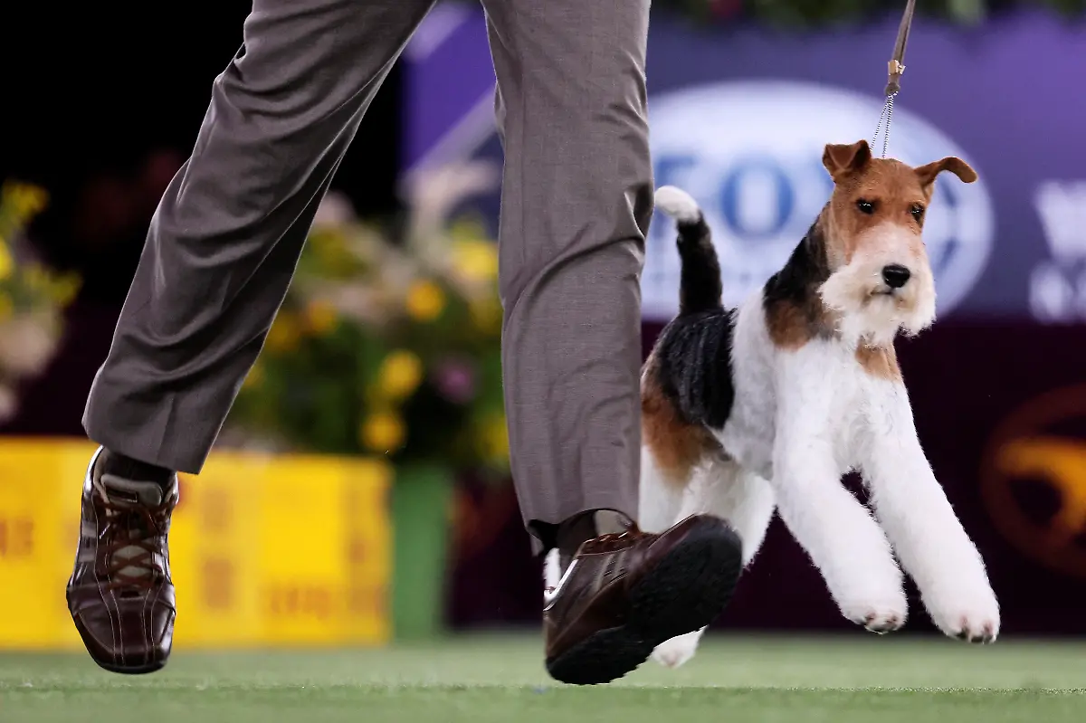 9010736c6adf805996849f9d81ab2cc1