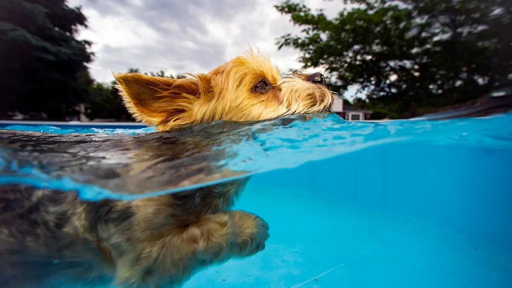 f16c4cabad6de568ab805a52d784d9ce