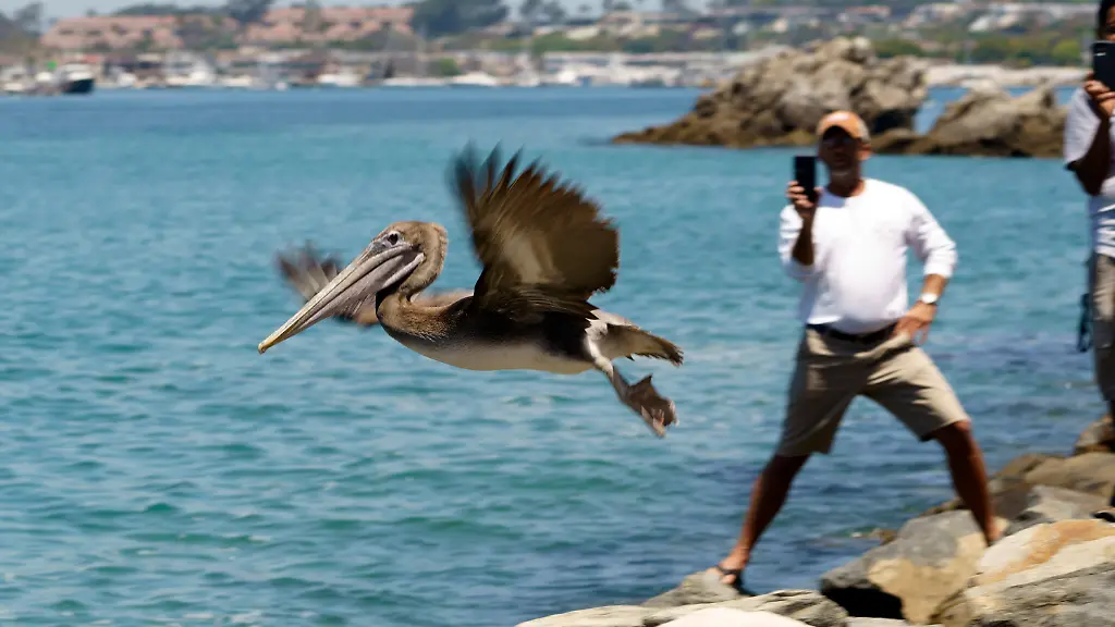 cfbfa0adf466b2ba6f5c074ddfac376c