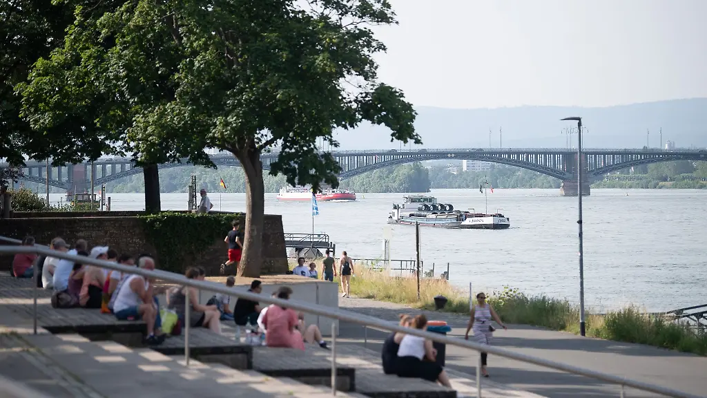 Der-Rhein-in-Mainz