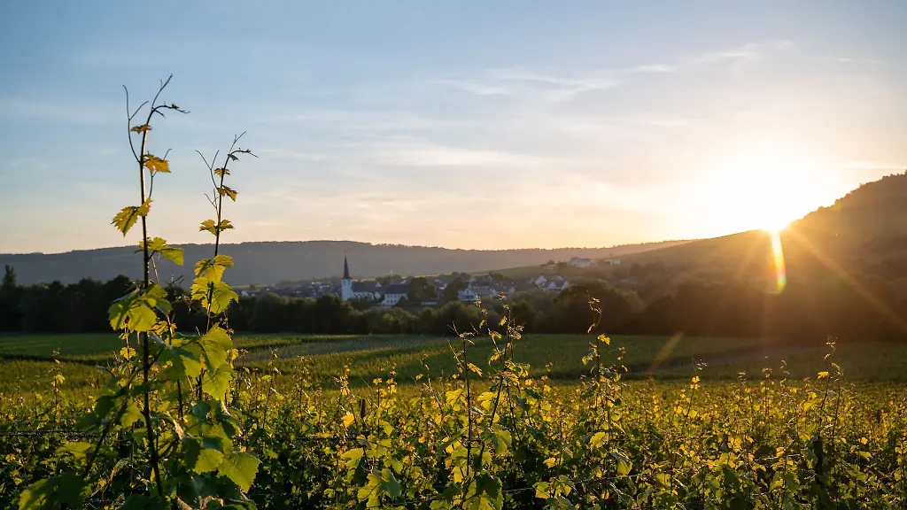 Die-Sonne-geht-ueber-dem-Moselort-Detzem-und-den-Weinbergen-auf