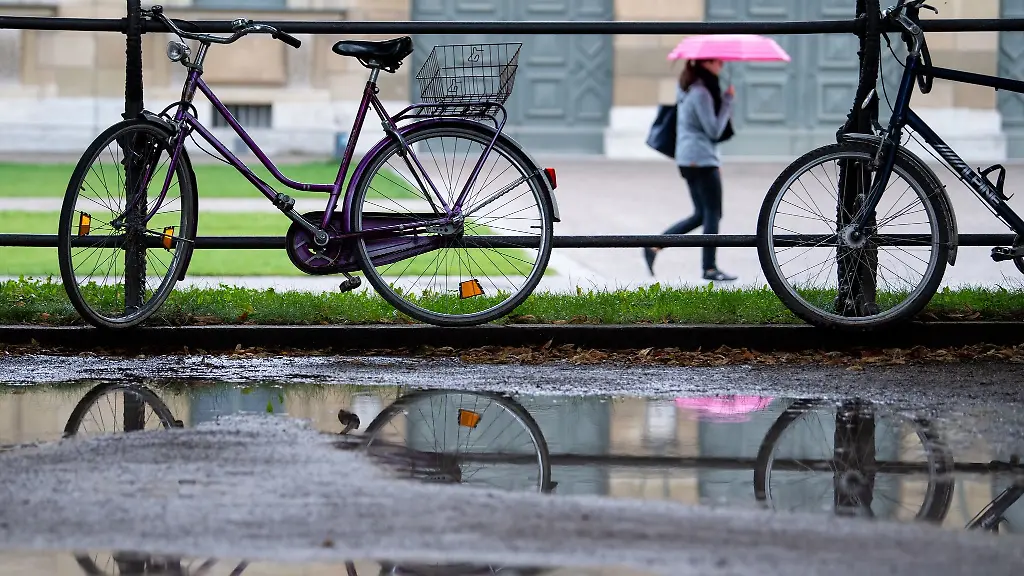 Eine-Frau-spaziert-durch-den-Hofgarten-und-spiegelt-sich-dabei-in-einer-Pfuetze