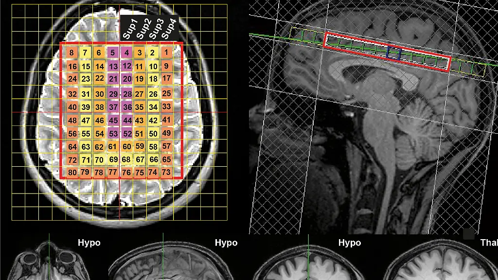 urn-binary-dpa-com-20090101-220610-99-618511-FILED
