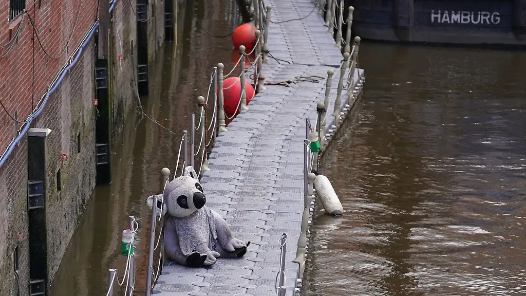 Ein-Koala-Stofftier-sitzt-auf-einem-Plastiksteg-waehrend-der-Sanierungsarbeiten-der-Kaimauern