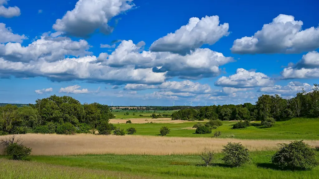 Wolken-ziehen-ueber-ein-Naturschutzgebiet-am-Rande-des-Oderbruchs-in-Mallnow