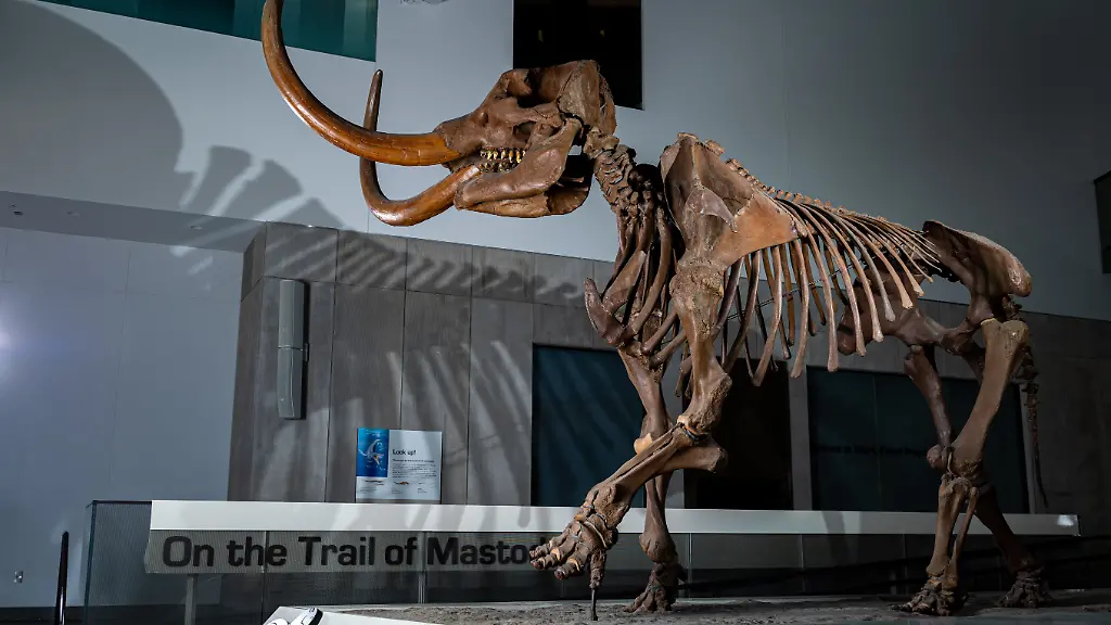 urn-binary-dpa-com-20090101-220609-99-605587-FILED