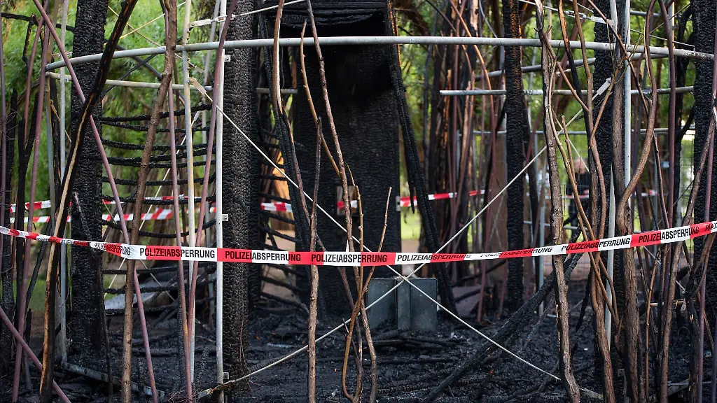Die-Reste-des-abgebrannten-Weidendom-im-im-Rostocker-IGA-Park