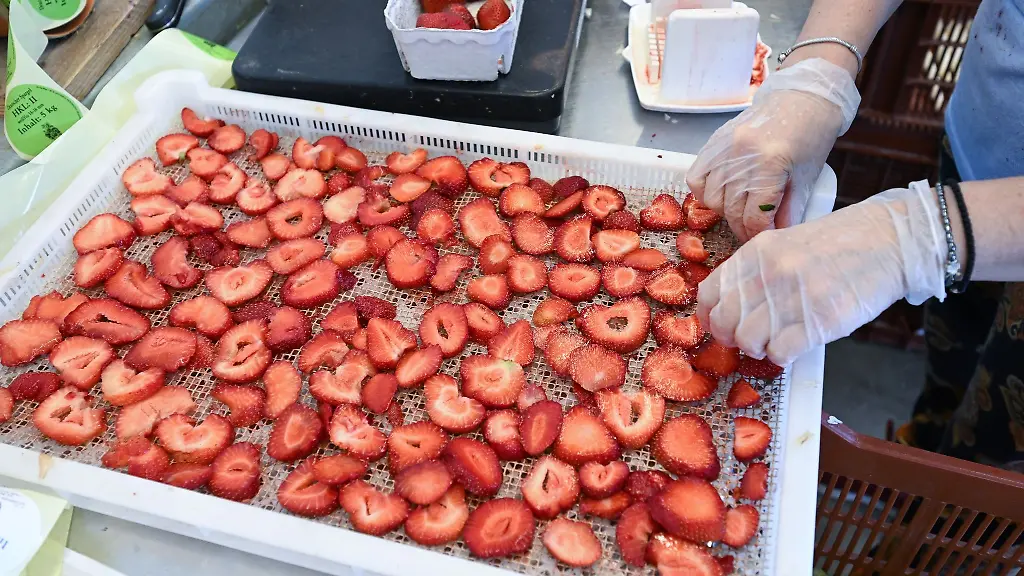 Fuer-die-Erdbeerernte-in-Grossbritannien-werden-viele-Saisonkraefte-eingesetzt