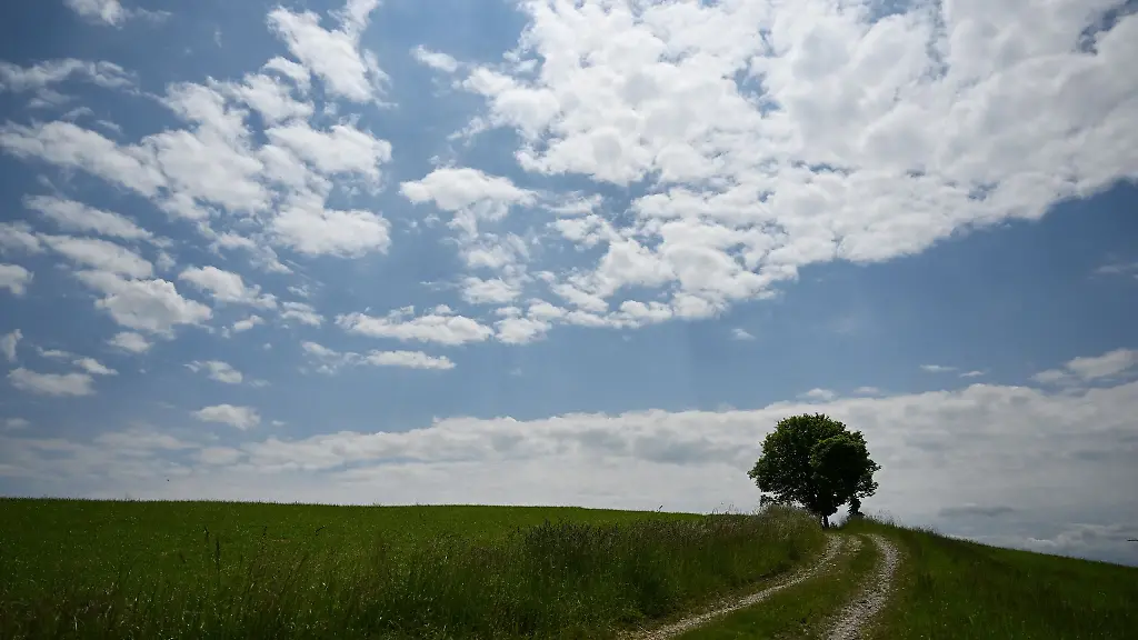 Wolkengebilde-ziehen-am-Himmel-ueber-einen-freistehenden-Baum