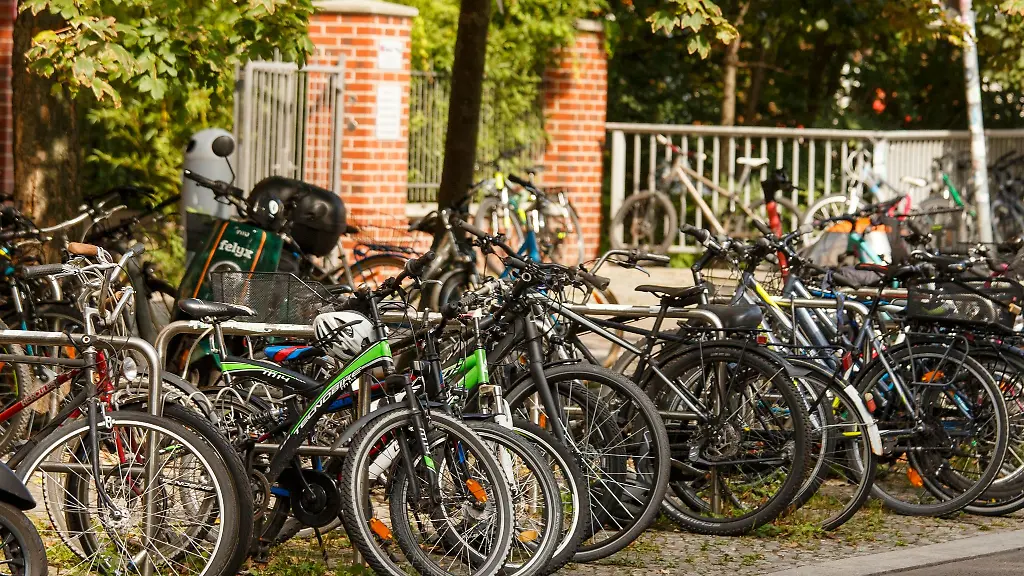 Fahrraeder-stehen-neben-Fahrradstaendern