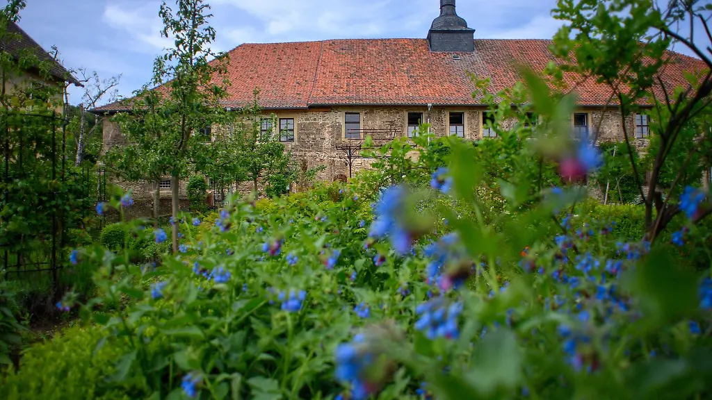 Das-Klausur-und-Kirchengebaeude-vom-Kloster-Michaelstein-ist-hinter-bluehenden-Pflanzen-des-Gemuesegartens-zu-sehen