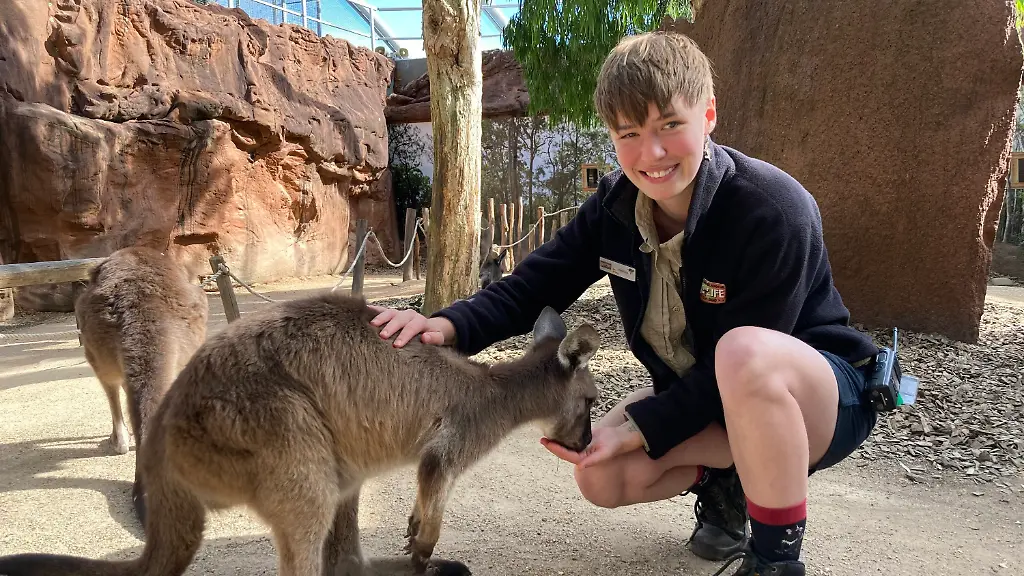 1e87de2ac572a57e5175e24b09039a84