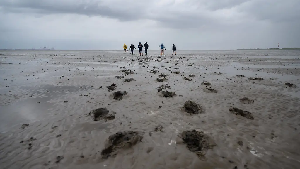 95089822940da28946405e44b420ad4c