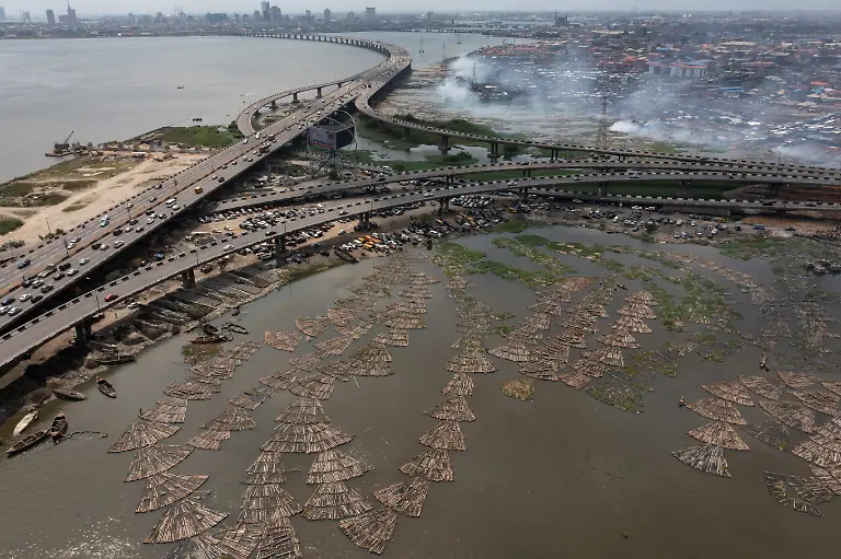 2022-06-08T070305Z-739248954-RC2O1R9YD2N9-RTRMADP-3-NIGERIA-ENVIRONMENT-TREES