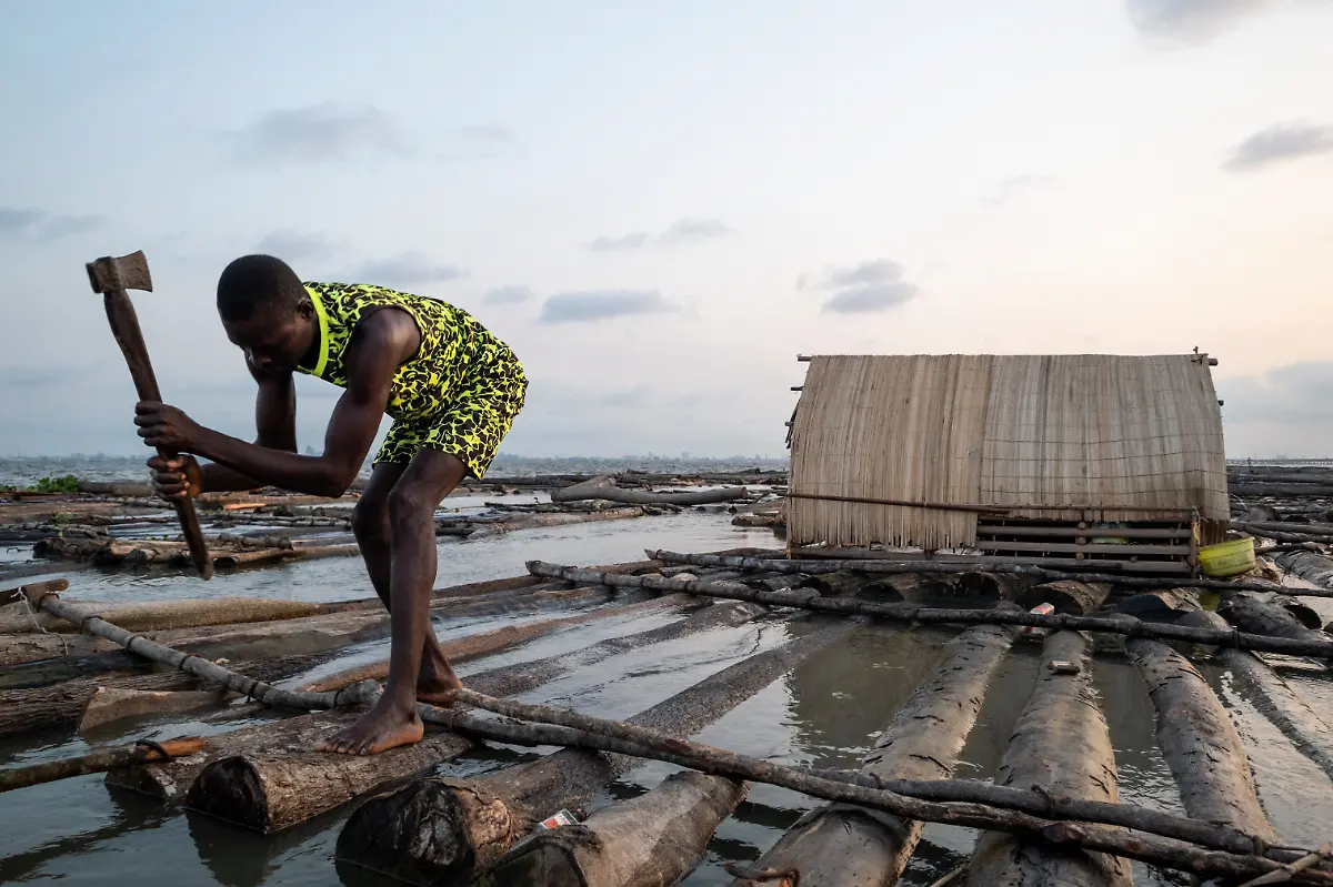 2022-06-08T070256Z-1142327306-RC2U5R98ZP12-RTRMADP-3-NIGERIA-ENVIRONMENT-TREES