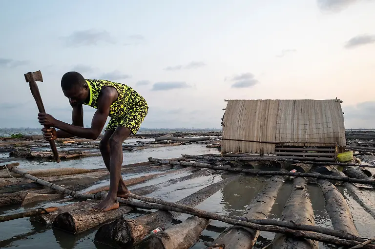 2022-06-08T070256Z-1142327306-RC2U5R98ZP12-RTRMADP-3-NIGERIA-ENVIRONMENT-TREES