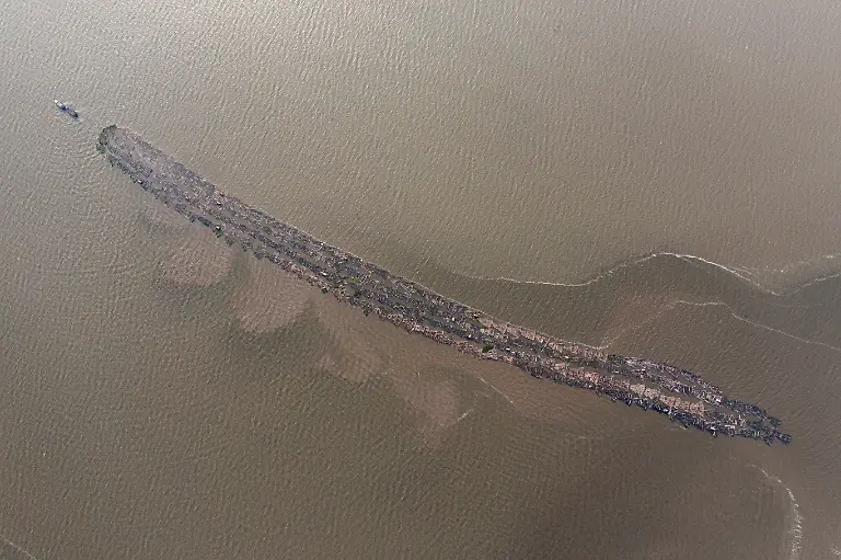 2022-06-08T070307Z-1980364643-RC2S5R92UUBT-RTRMADP-3-NIGERIA-ENVIRONMENT-TREES