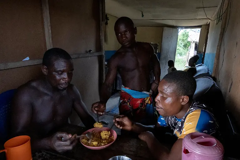 2022-06-08T070804Z-43470464-RC2T9O9TNGNJ-RTRMADP-3-NIGERIA-ENVIRONMENT-TREES