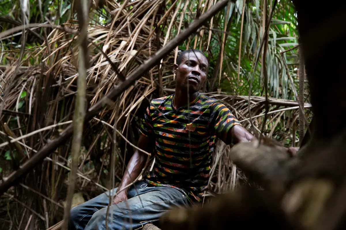 2022-06-08T070806Z-256270280-RC2OHN91SE7Q-RTRMADP-3-NIGERIA-ENVIRONMENT-TREES