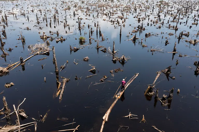 Egbontoluwa-Marigi-3