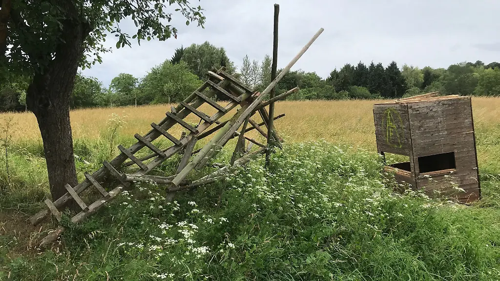 Die-Truemmer-eines-mutwillig-zerstoerten-Hochsitzes-liegen-auf-einer-Wiese-im-Enkheimer-Ried