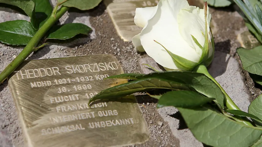 Weisse-Rosen-liegen-auf-Stolpersteinen-vor-dem-Hamburger-Rathaus