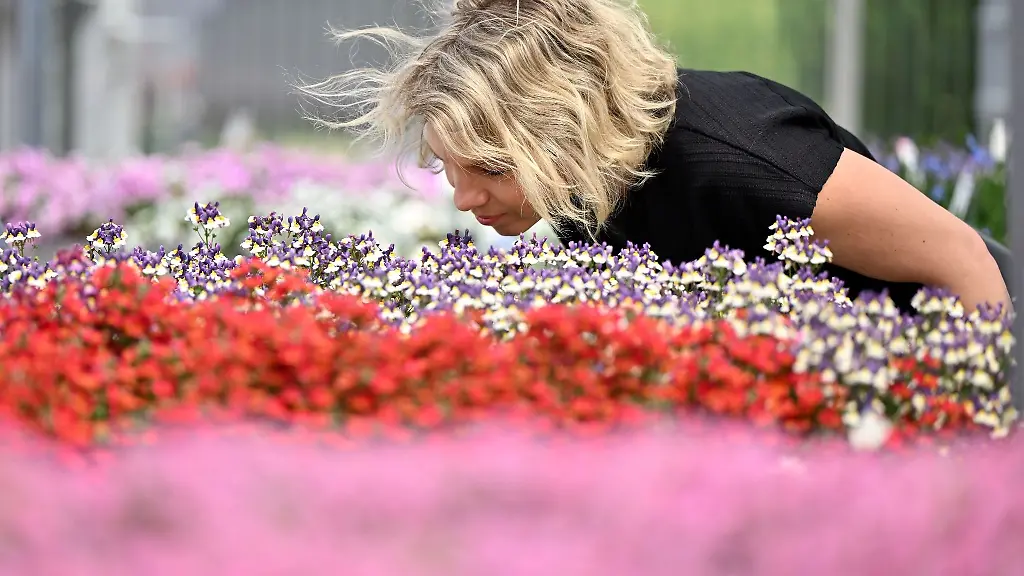 Susanna-Karawanskij-Die-Linke-Ministerin-fuer-Infrastruktur-und-Landwirtschaft-von-Thueringen