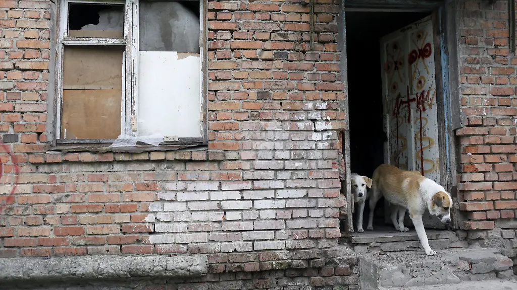 2022-05-20T120137Z-671255328-RC2V9U9ZN2QF-RTRMADP-3-UKRAINE-CRISIS-SLATYNE