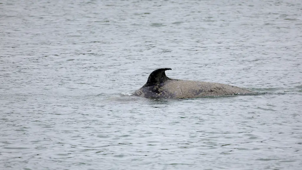 768c03e4e1e01b1086a82c0725445e6c