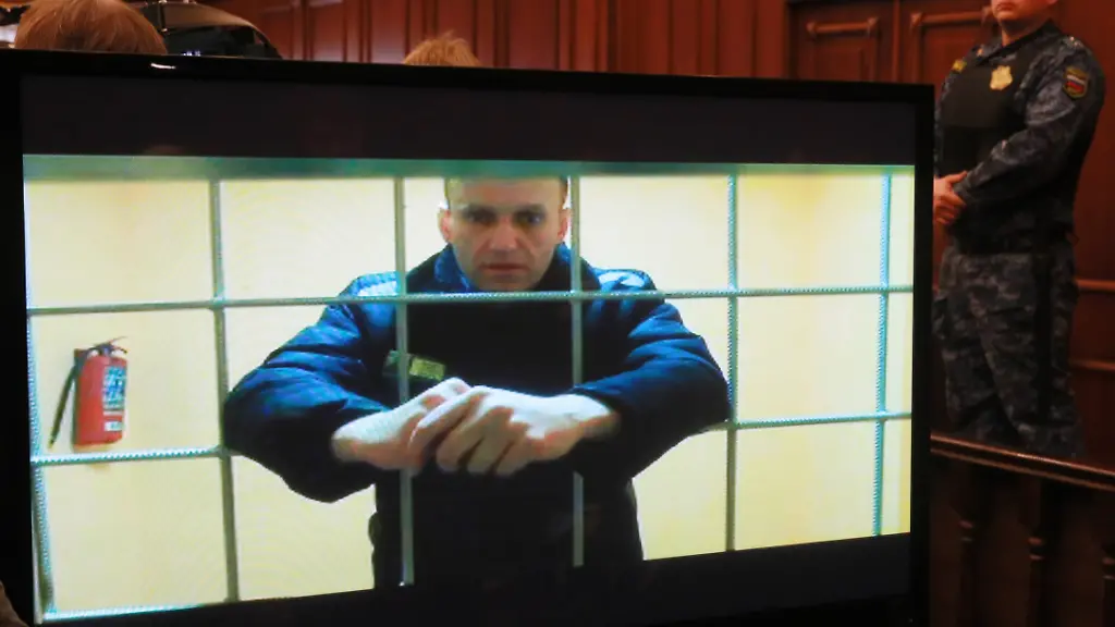 Der-zur-Berufungsanhoerung-zugeschaltete-Alexej-Nawalny