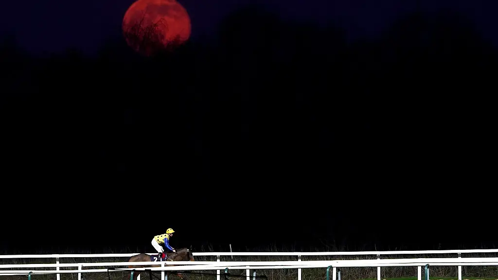 Ein-Jockey-und-sein-Pferd-in-Aktion