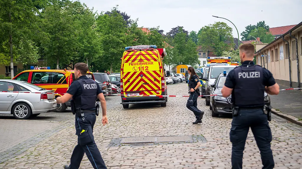 6cc2e03c21a018b6f89e2838c8d01215