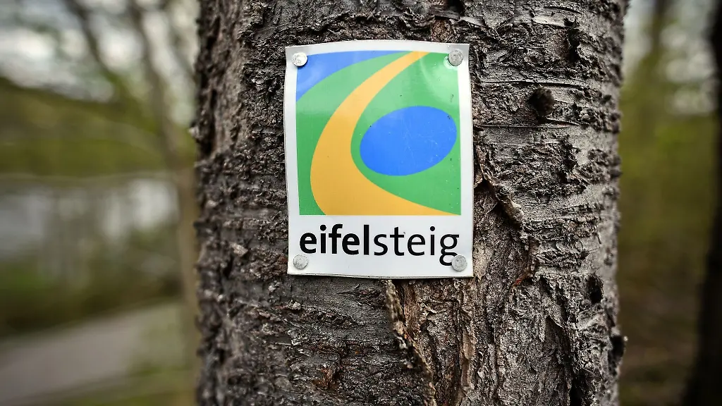 Eine-Wegmarkierung-des-Eifelsteigs-haengt-an-einem-Baum