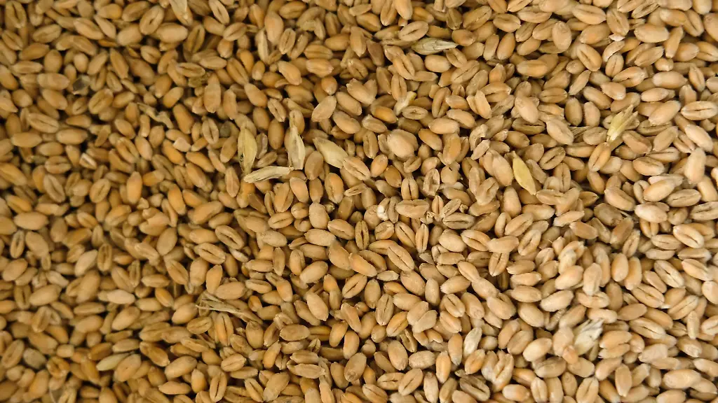 Weizenmehl-hat-sich-zuletzt-deutlich-verteuert