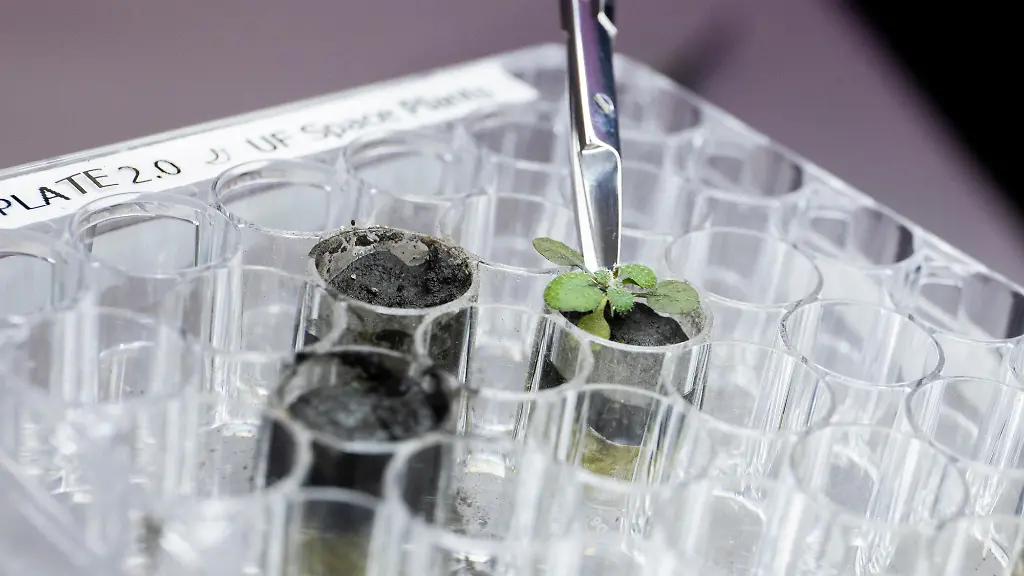 urn-binary-dpa-com-20090101-220511-99-245565-FILED