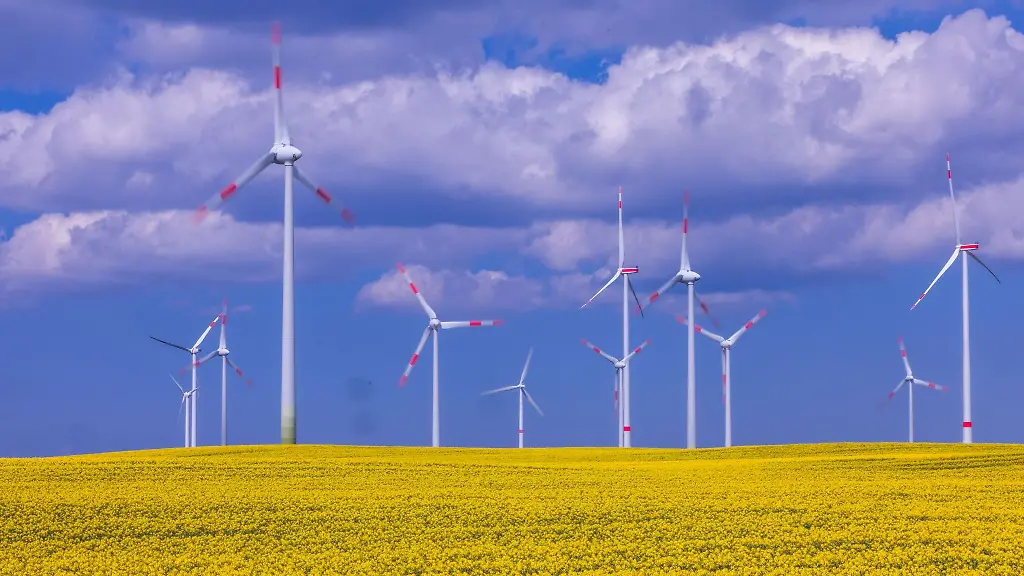 Windkraftanlagen-verschiedener-Hersteller-drehen-sich-hinter-einem-bluehenden-Rapsfeld-in-einem-Windpark