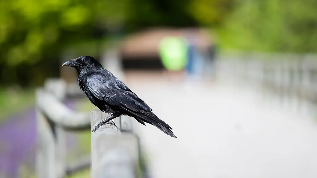 4de3e3c374394faa884943763e4e1afe