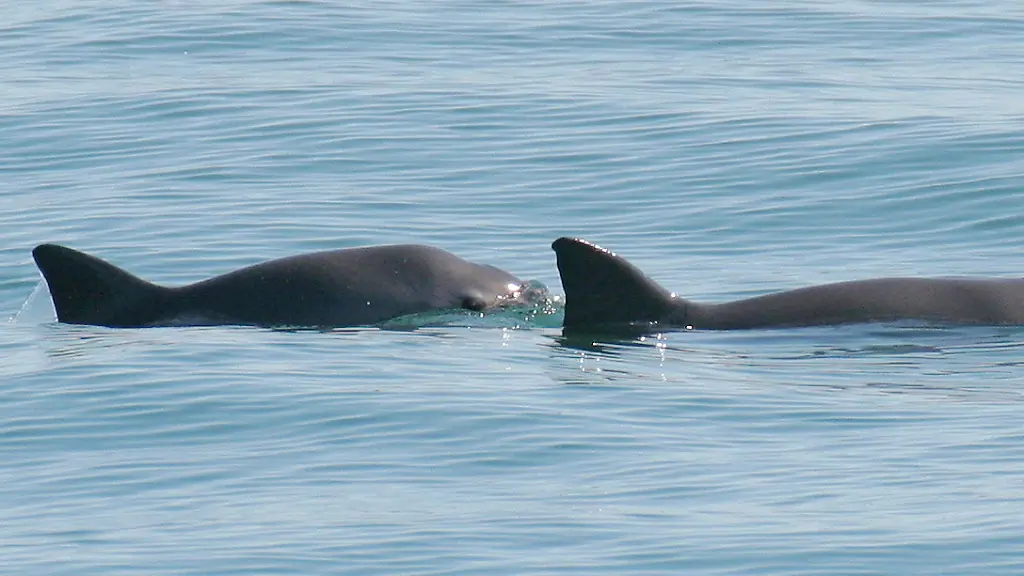 564dd39c46349bfce617e225ecf0d8da