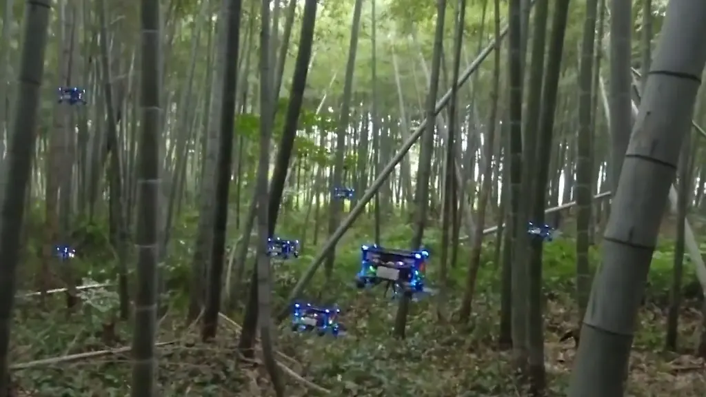 urn-binary-dpa-com-20090101-220504-99-150793-FILED