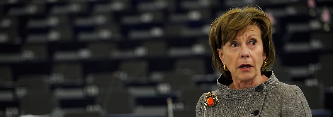 Neelie Kroes, verantwortlich für die Digitale Agenda der EU, hatte die Verhandlungen mit den Vertretern Ungarns geführt.