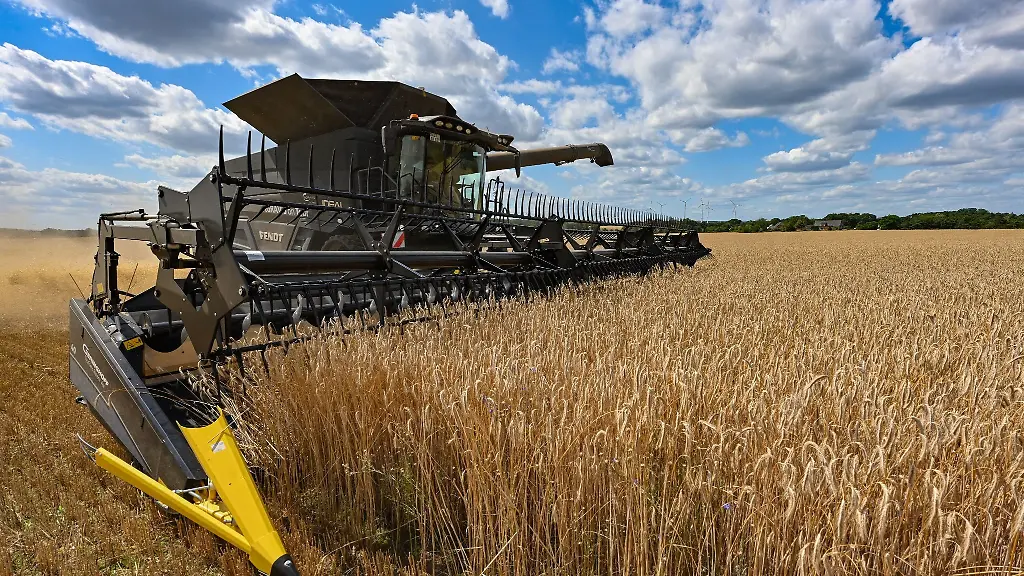 Auf-einem-Feld-wird-mit-einem-Maehdrescher-Roggen-gedroschen-Weil-Russland-Seewege-der-Ukraine-blockiert-koennen-wichtige-Getreidelieferungen-nicht-das-Land-verlassen